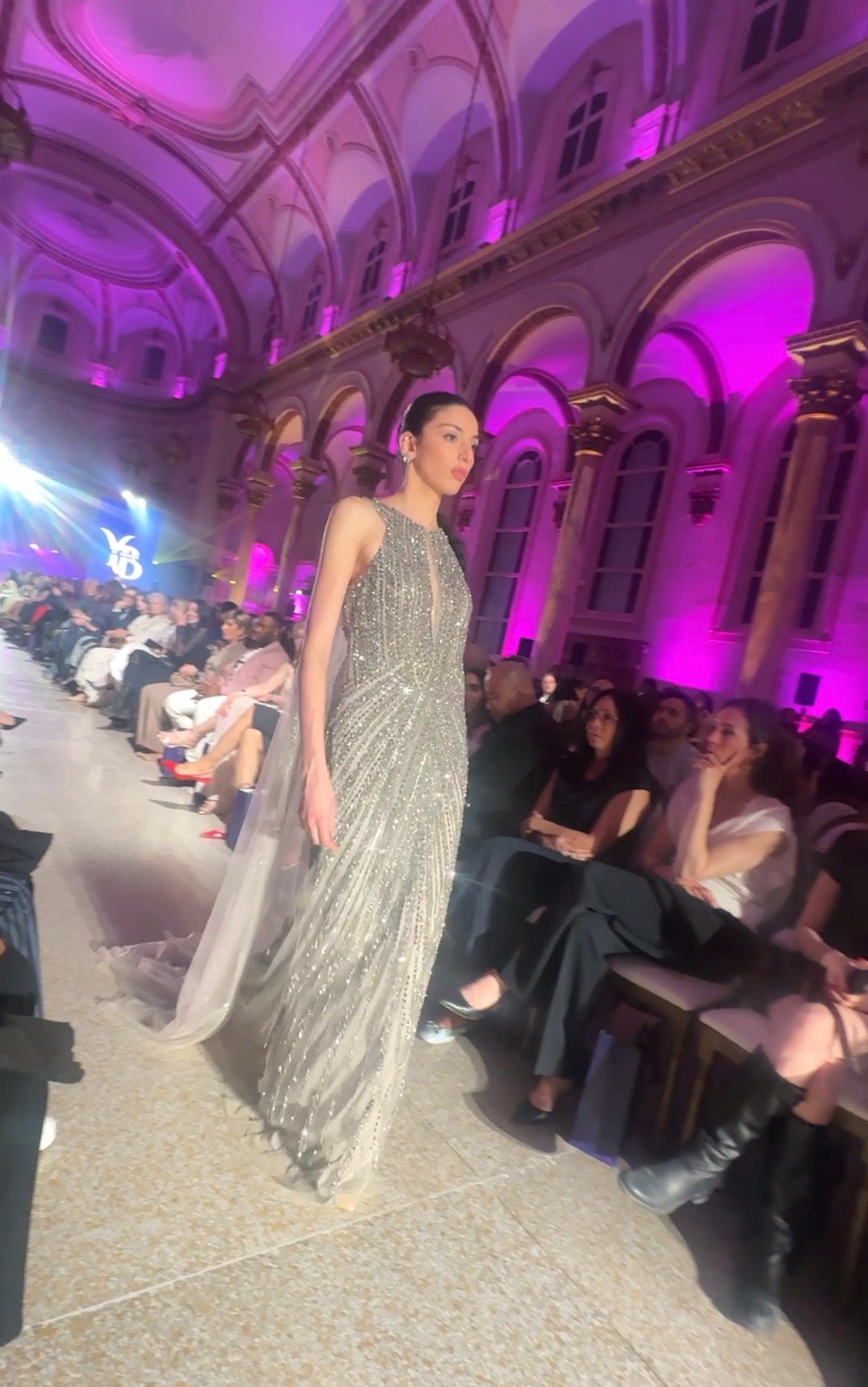 Silver Eclipse Gown