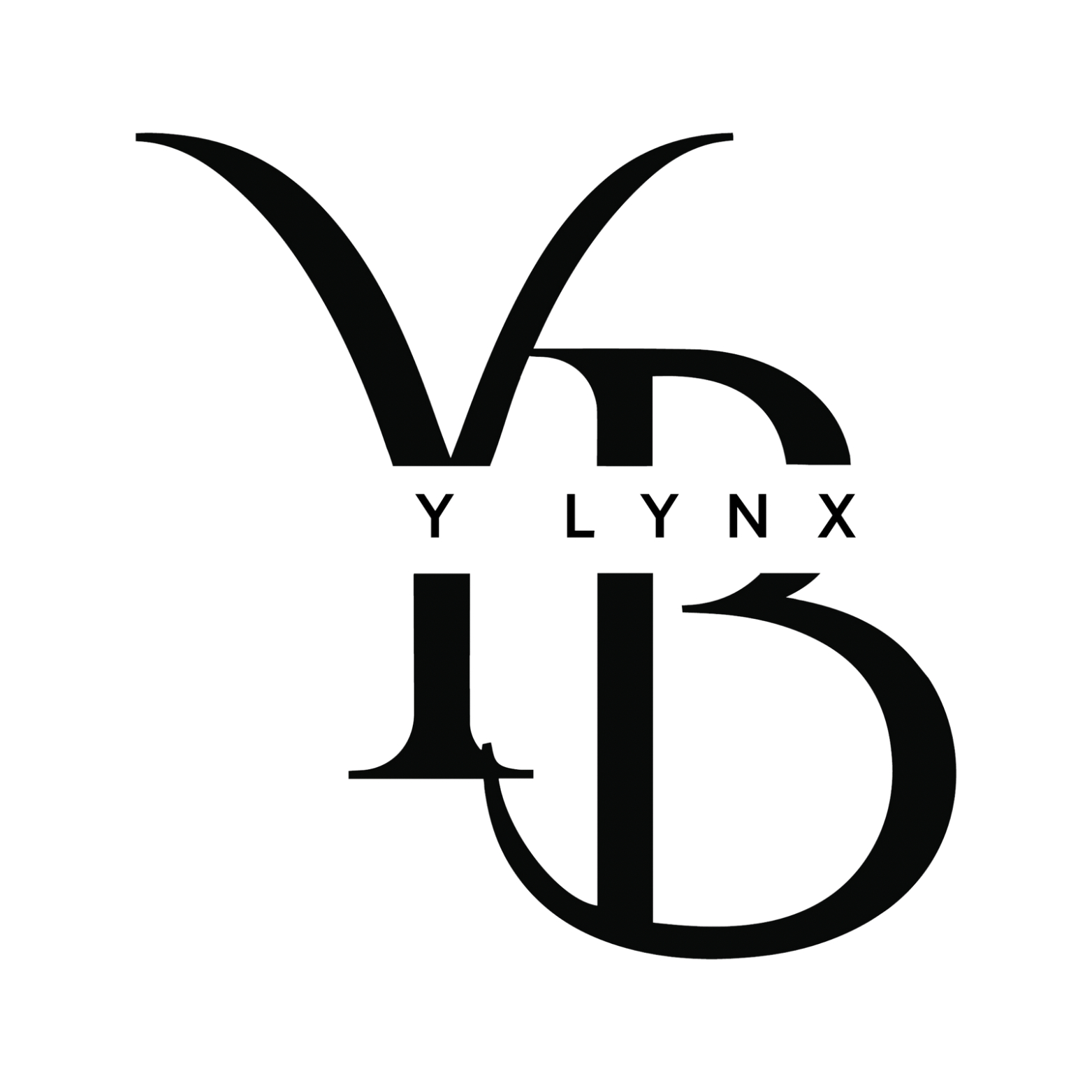 Ylynx logo – A modern and sleek design featuring a stylized, minimalistic font and abstract icon, representing innovation and sophistication in technology solutions.