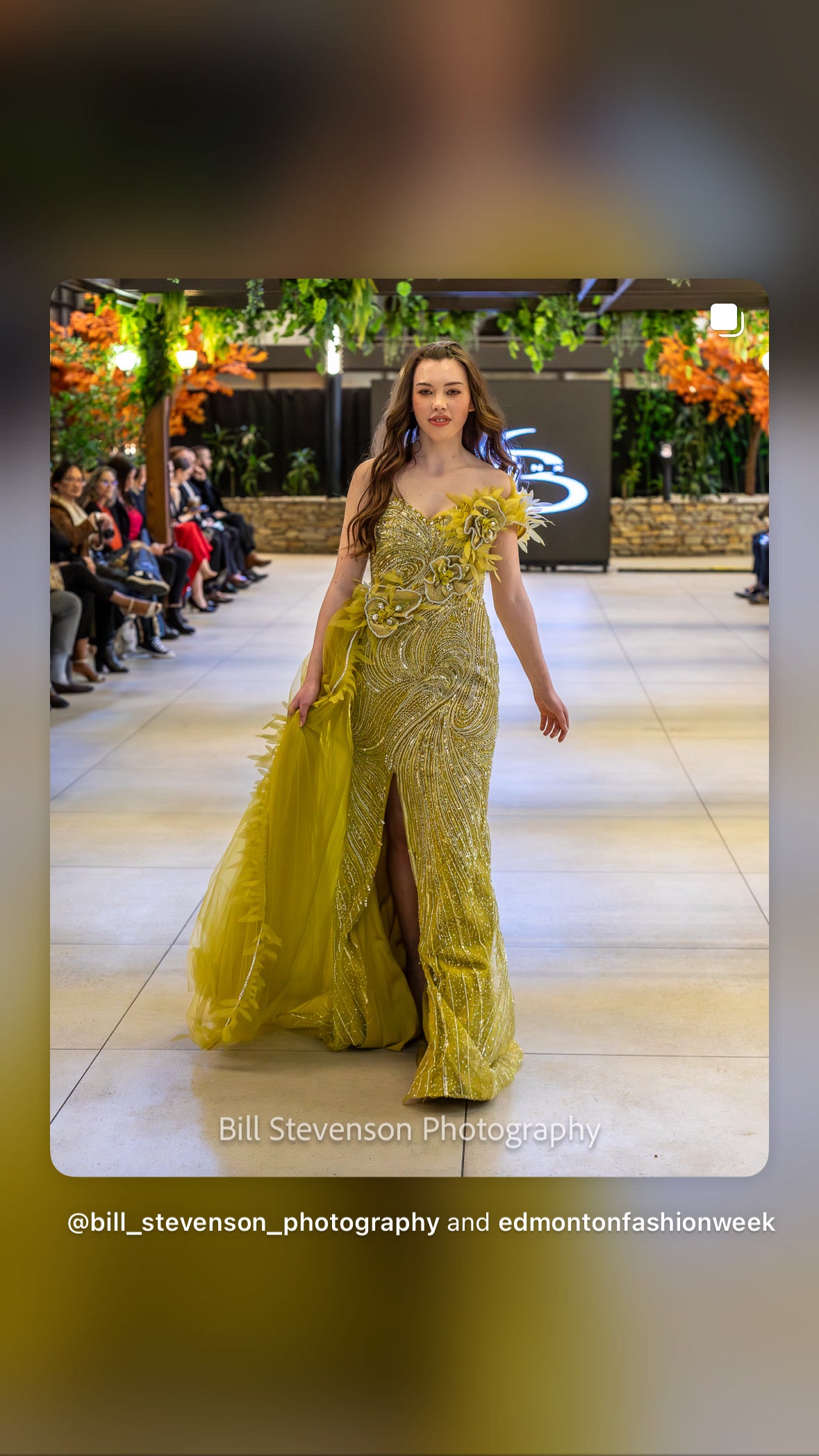Muse Couture Gown